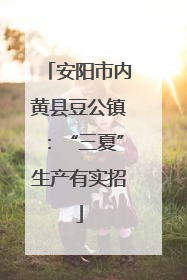 安阳市内黄县豆公镇：“三夏”生产有实招
