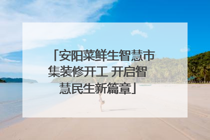 安阳菜鲜生智慧市集装修开工 开启智慧民生新篇章