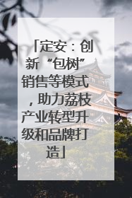 定安：创新“包树”销售等模式，助力荔枝产业转型升级和品牌打造
