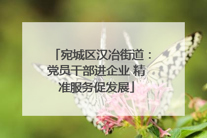 宛城区汉冶街道：党员干部进企业 精准服务促发展