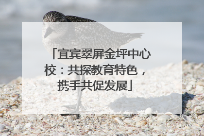 宜宾翠屏金坪中心校：共探教育特色，携手共促发展