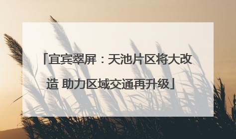 宜宾翠屏：天池片区将大改造 助力区域交通再升级