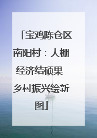 宝鸡陈仓区南阳村：大棚经济结硕果 乡村振兴绘新图
