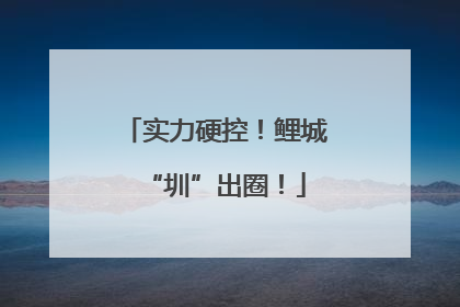 实力硬控！鲤城“圳”出圈！