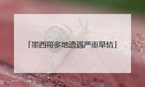 墨西哥多地遭遇严重旱情