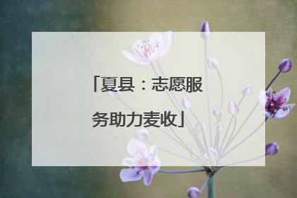 夏县：志愿服务助力麦收