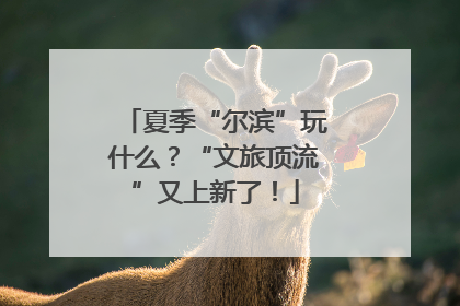 夏季“尔滨”玩什么？“文旅顶流”又上新了！