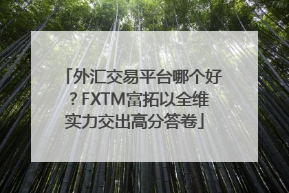 外汇交易平台哪个好？FXTM富拓以全维实力交出高分答卷