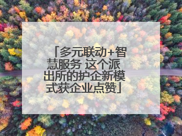 多元联动+智慧服务 这个派出所的护企新模式获企业点赞
