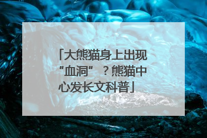 大熊猫身上出现“血洞”？熊猫中心发长文科普