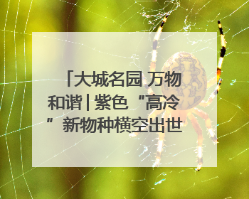 大城名园 万物和谐│紫色“高冷”新物种横空出世，皱褶叶片暗藏进化密码