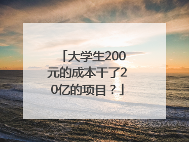 大学生200元的成本干了20亿的项目？