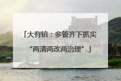 大有镇：多管齐下抓实“两清两改两治理”
