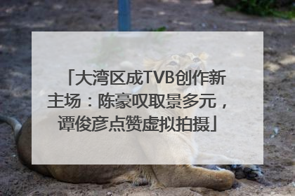 大湾区成TVB创作新主场：陈豪叹取景多元，谭俊彦点赞虚拟拍摄