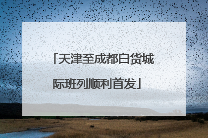 天津至成都白货城际班列顺利首发
