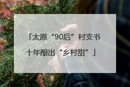 太原“90后”村支书十年酿出“乡村甜”