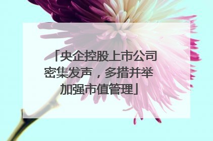 央企控股上市公司密集发声，多措并举加强市值管理