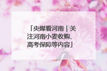 央媒看河南｜关注河南小麦收购、高考保障等内容