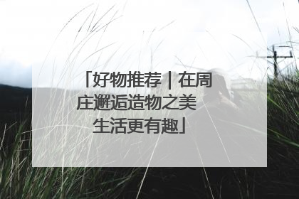 好物推荐｜在周庄邂逅造物之美 生活更有趣