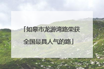 如皋市龙游湾路荣获全国最具人气的路