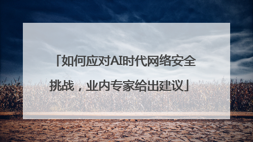如何应对AI时代网络安全挑战，业内专家给出建议