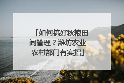 如何搞好秋粮田间管理？潍坊农业农村部门有实招