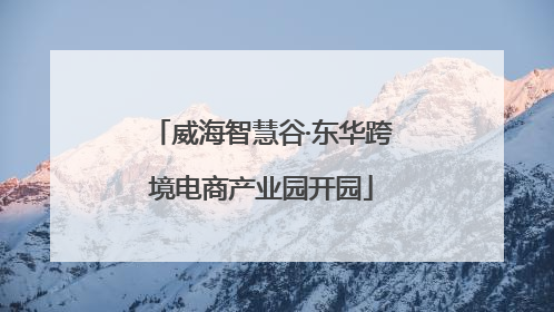 威海智慧谷·东华跨境电商产业园开园