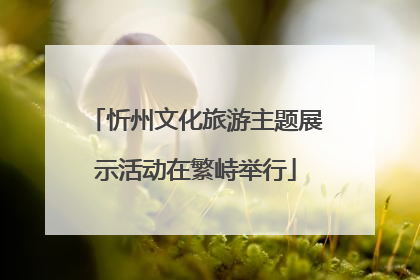 忻州文化旅游主题展示活动在繁峙举行