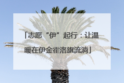 志愿“伊”起行：让温暖在伊金霍洛旗流淌