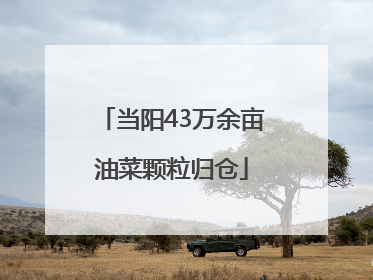 当阳43万余亩油菜颗粒归仓