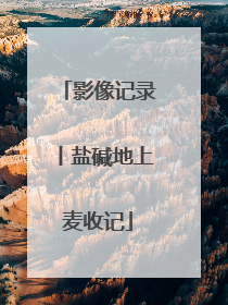 影像记录丨盐碱地上麦收记