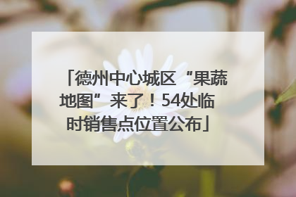 德州中心城区“果蔬地图”来了！54处临时销售点位置公布
