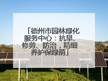 德州市园林绿化服务中心：抗旱、修剪、防治，精细养护保绿荫