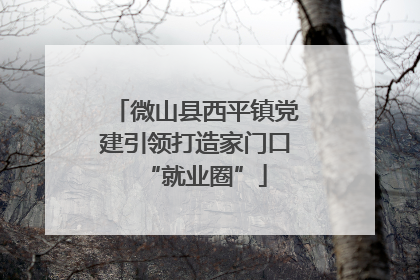 微山县西平镇党建引领打造家门口“就业圈”