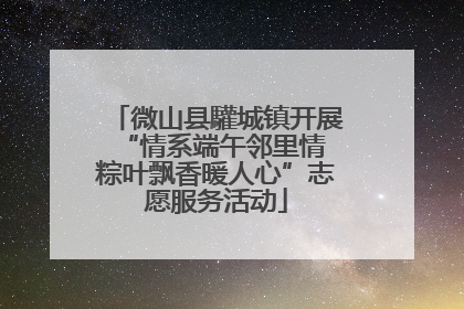 微山县驩城镇开展“情系端午邻里情 粽叶飘香暖人心”志愿服务活动
