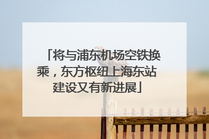 将与浦东机场空铁换乘，东方枢纽上海东站建设又有新进展