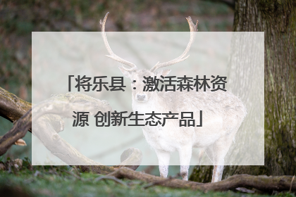 将乐县：激活森林资源 创新生态产品