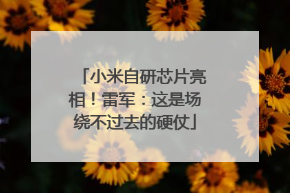 小米自研芯片亮相！雷军：这是场绕不过去的硬仗