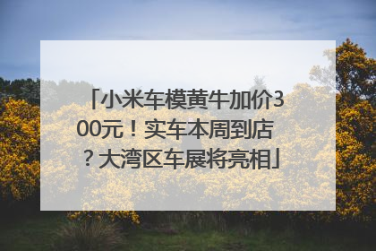 小米车模黄牛加价300元！实车本周到店？大湾区车展将亮相