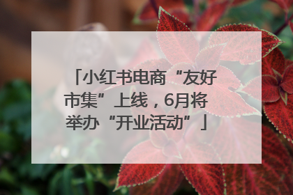小红书电商“友好市集”上线，6月将举办“开业活动”