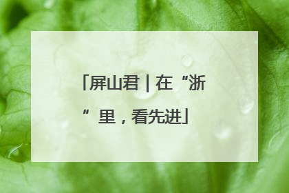 屏山君｜在“浙”里，看先进