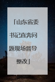 山东省委书记直奔问题现场督导整改