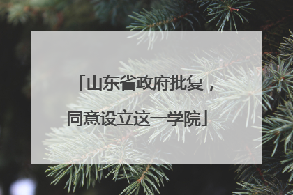 山东省政府批复，同意设立这一学院