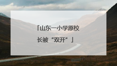 山东一小学原校长被“双开”
