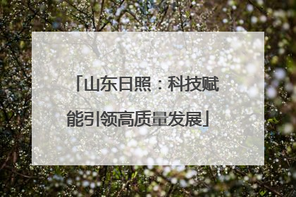 山东日照：科技赋能引领高质量发展