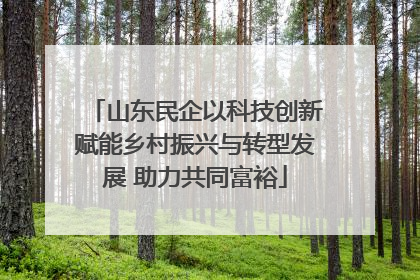 山东民企以科技创新赋能乡村振兴与转型发展 助力共同富裕