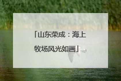 山东荣成：海上牧场风光如画