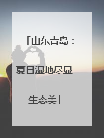山东青岛：夏日湿地尽显生态美