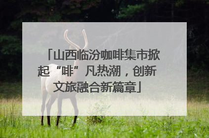 山西临汾咖啡集市掀起“啡”凡热潮，创新文旅融合新篇章