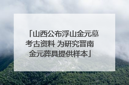 山西公布浮山金元墓考古资料 为研究晋南金元葬具提供样本